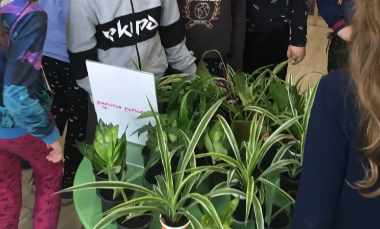 ŚWIATOWY DZIEŃ ZIEMI – BIBLIOTEKA MAŁEGO CZŁOWIEKA