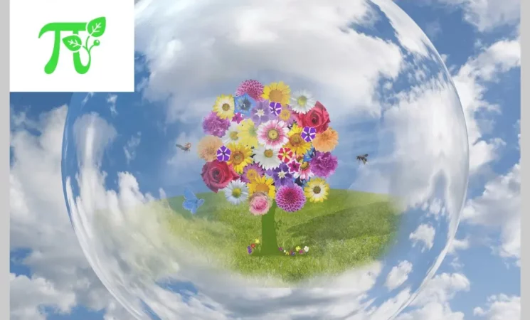 Matematyka na zielono