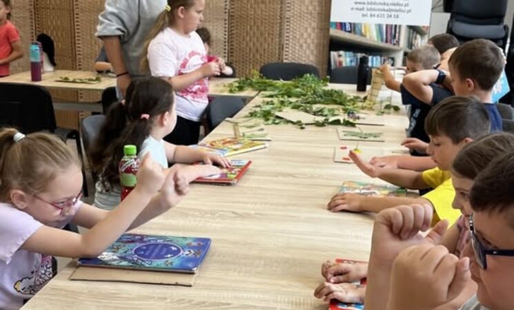 ☀️ Wakacje w Bibliotece 2026. Biblioteka z Klimatem. Sztuka. Natura. Błysk! 📸🌿